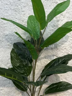 خرید بوته مصنوعی فیکوس 65 سانتی