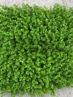 خرید پنل دیوار سبز مصنوعی شمشاد سبز