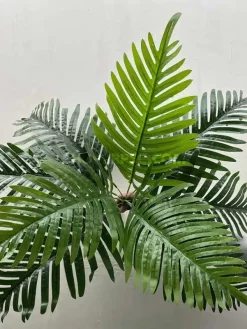 خرید بوته مصنوعی سیکاس