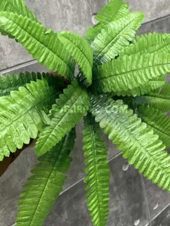 سرخس مصنوعی ارزان