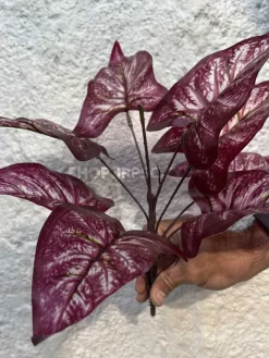 بوته مصنوعی سینگونیوم ارزان