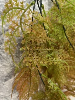 قیمت ریسه برگ مصنوعی شویدی