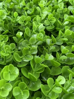 پنل دیوار سبز مصنوعی شمشاد سبز ارزان