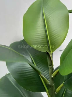 درختچه مصنوعی فیکوس الاستیکا ارزان