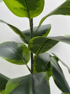 قیمت درختچه مصنوعی فیکوس الاستیکا ابلق