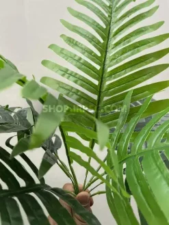 بوته مصنوعی سیکاس ارزان