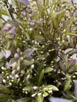 قیمت شاخه برگ مصنوعی به لیمو سبز یاسی