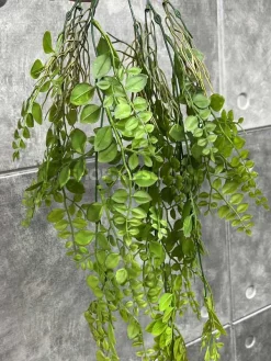 عکس آویز برگ مصنوعی آمازون