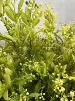 قیمت شاخه برگ مصنوعی به لیمو سبز و زرد