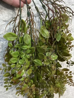 آ ویز برگ مصنوعی آمازون ارزان