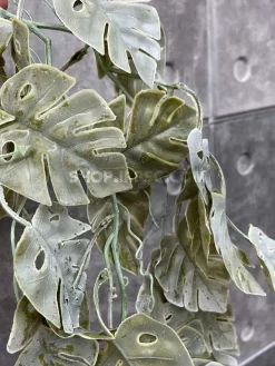 عکس آویز برگ مصنوعی انجیری