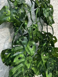 قیمت آویز برگ مصنوعی انجیری سبز