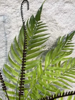 قیمت بوته مصنوعی سرخس سبز تیره