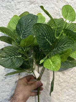 قیمت بوته مصنوعی فیتونیا 40 سانتی