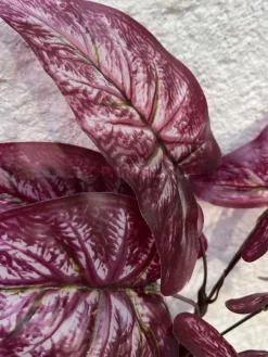 قیمت بوته مصنوعی سینگونیوم سفید قرمز