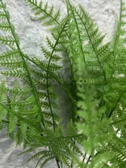 قیمت بوته مصنوعی شویدی سبز