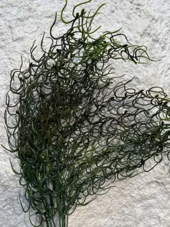 قیمت بوته مصنوعی فرفری سبز تیره