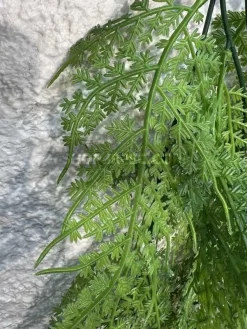 خرید ریسه برگ مصنوعی شویدی 80 سانتی