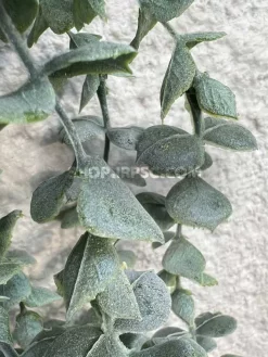 قیمت آویز برگ مصنوعی شمشاد مات