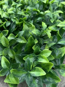 قیمت پنل دیوار سبز مصنوعی پرتقالی