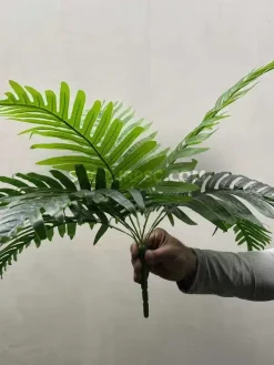 فروش بوته مصنوعی سیکاس