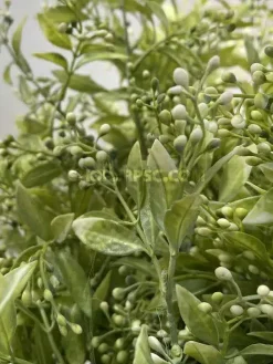 قیمت شاخه برگ مصنوعی به لیمو سبز یخی