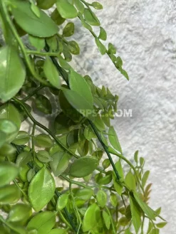 قیمت آویز برگ مصنوعی آمازون فسفری