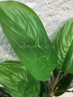 فروش بوته مصنوعی فیکوس 65 سانتی