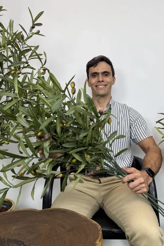 شاخه برگ مصنوعی زیتون یک متری