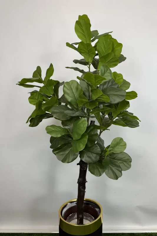 فروش درختچه مصنوعی فیکوس لیراتا 1.5 متری