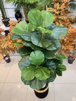 درختچه مصنوعی فیکوس لیراتا 150 سانتی ارزان