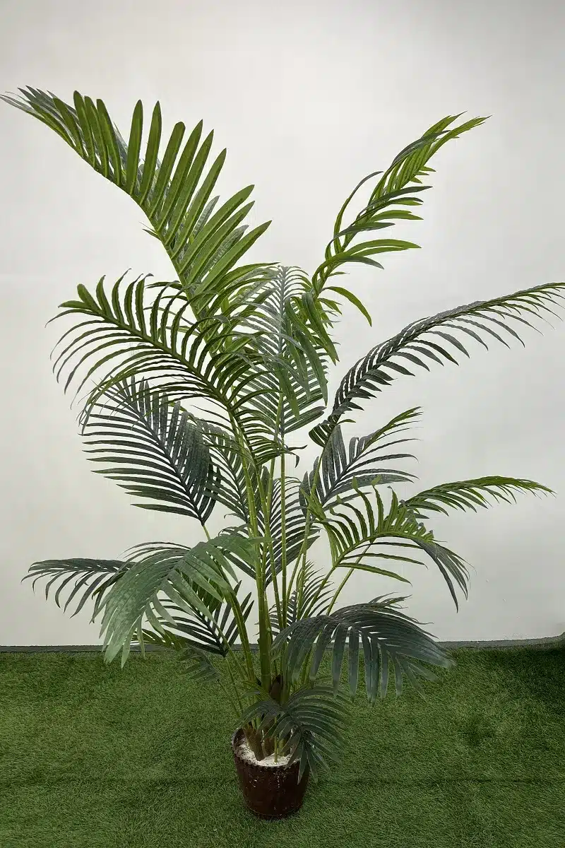 فروش درختچه مصنوعی نخل اریکا 1.6 متری