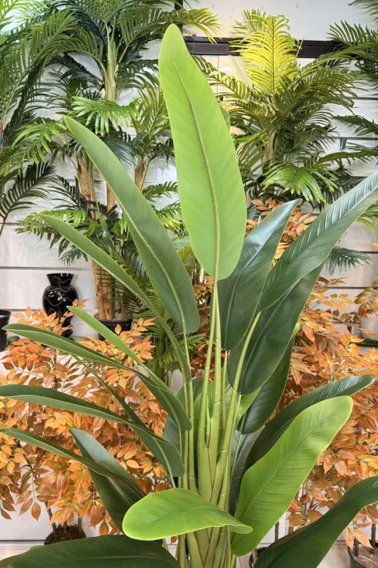 فروش درختچه مصنوعی استرلیتزیا 1.6 متری