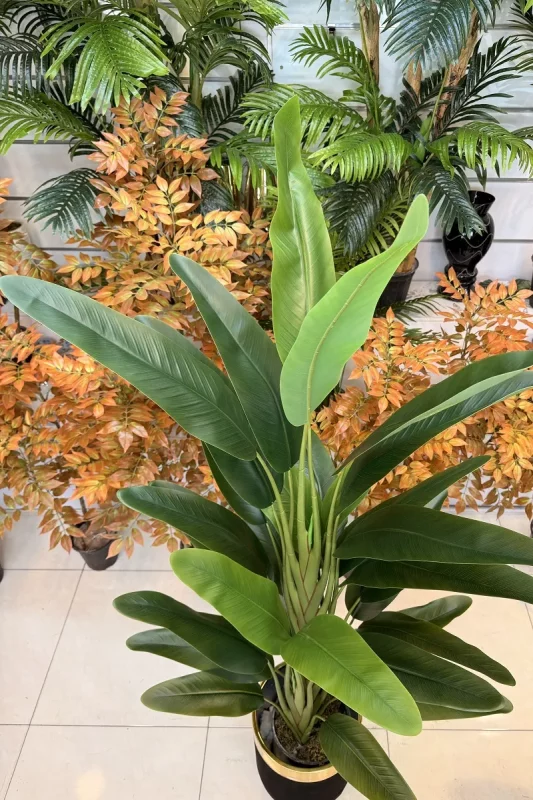 درختچه مصنوعی استرلیتزیا 1.6 متری ارزان