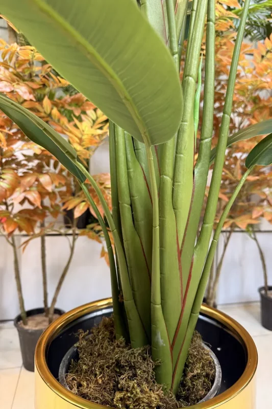 قیمت درختچه مصنوعی استرلیتزیا 1.6 متری