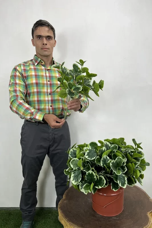 بوته مصنوعی قاشقی ابلق