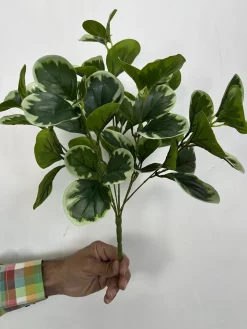 قیمت بوته مصنوعی قاشقی