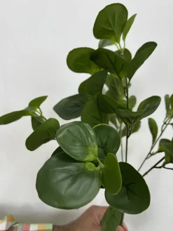 بوته مصنوعی قاشقی ارزان