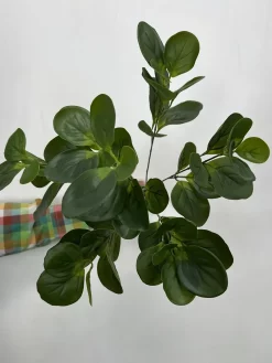 خرید بوته مصنوعی قاشقی 40 سانتی