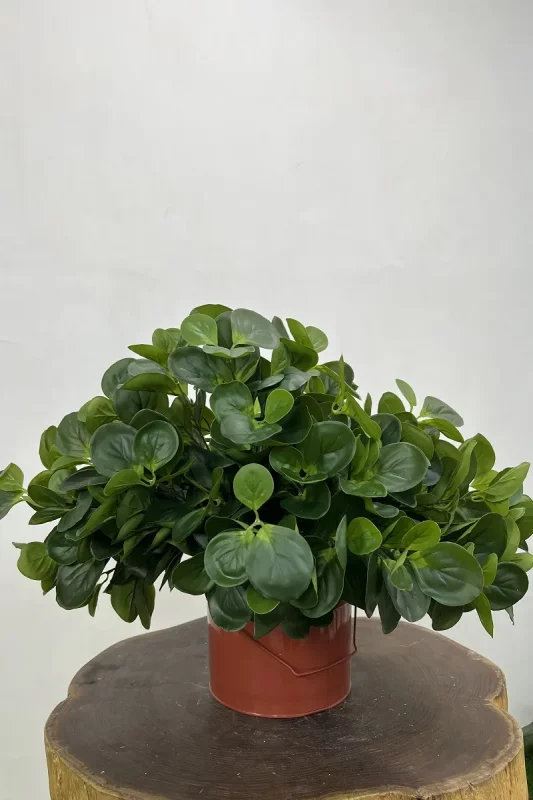 فروش بوته مصنوعی قاشقی 40 سانتی