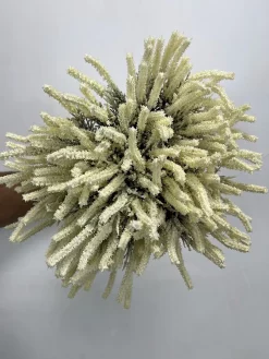 خرید بوته مصنوعی لابندر