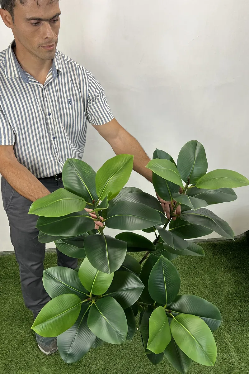 خرید درختچه مصنوعی فیکوس الاستیکا 1.25 متری