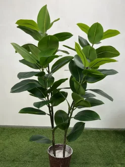 فروش درختچه مصنوعی فیکوس الاستیکا 1.25 متری