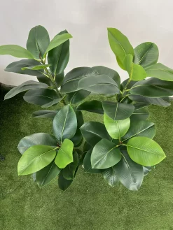 قیمت درختچه مصنوعی فیکوس الاستیکا 1.25 متری