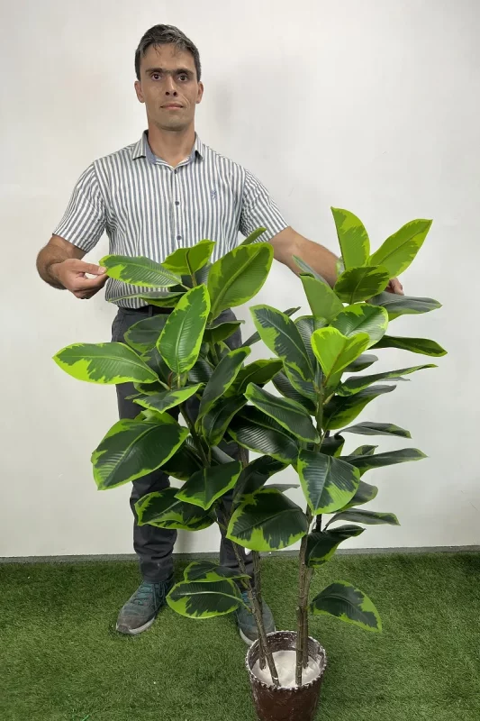 خرید درختچه مصنوعی فیکوس الاستیکا