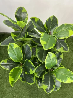 قیمت درختچه مصنوعی فیکوس الاستیکا 1.25 متری