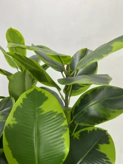 درختچه مصنوعی فیکوس الاستیکا 1.25 متری