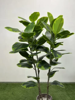 فروش درختچه مصنوعی فیکوس الاستیکا 1.25 متری