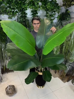 خرید درختچه پرنده بهشتی مصنوعی 1.8 متری