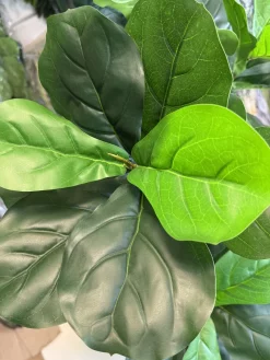 قیمت درختچه فیکوس لیراتا مصنوعی 1.5 متری